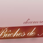 buches-noel-locronan-2014
